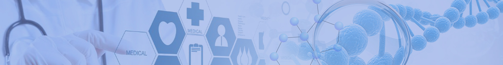 head_banner_01